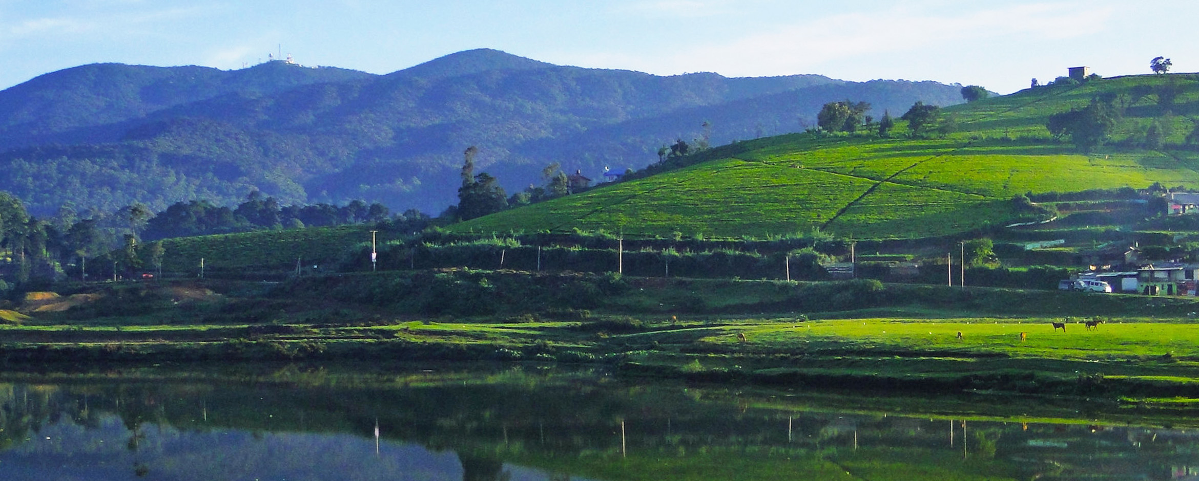 Serene Lakes